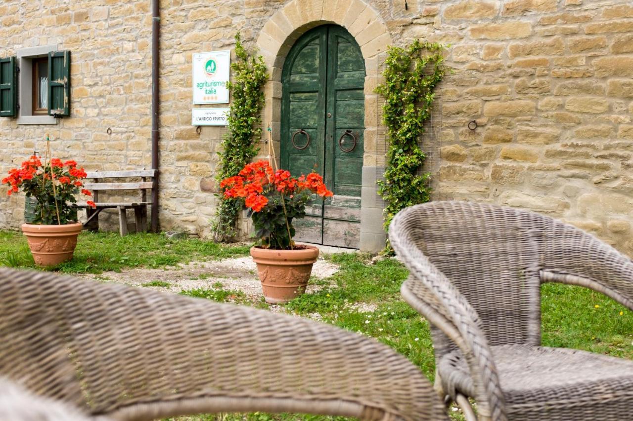 Agriturismo L'Antico Frutto Premilcuore Exteriér fotografie
